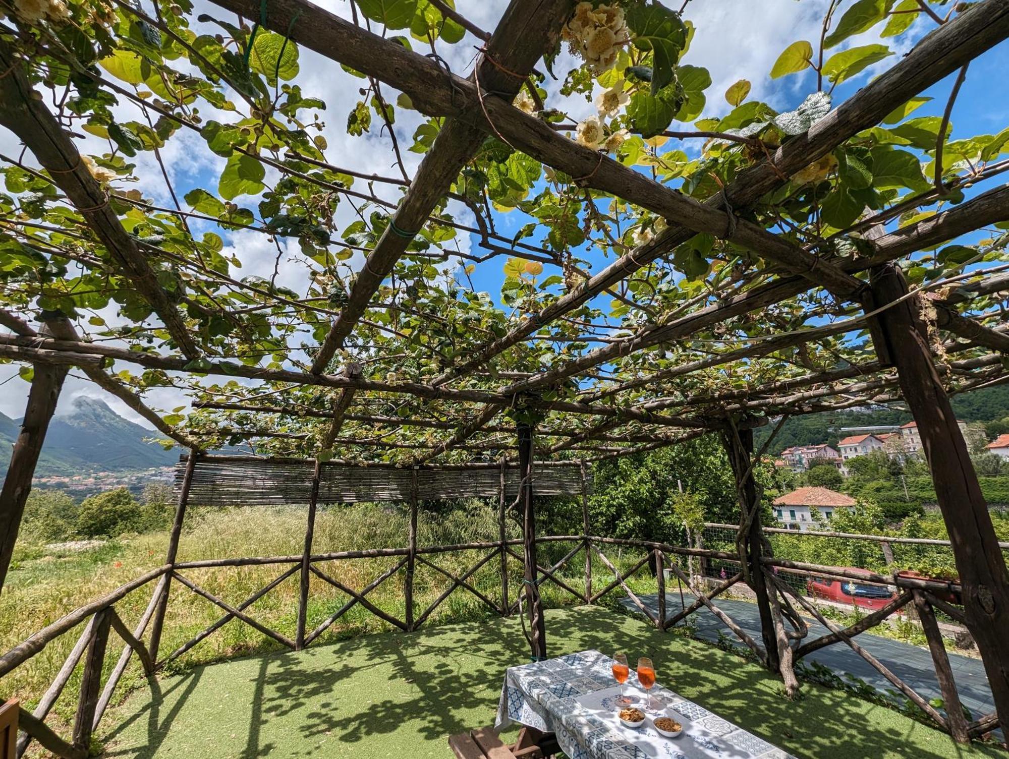 Вілла Louis House Ad Agerola Per Amalfi Positano Pompei Номер фото
